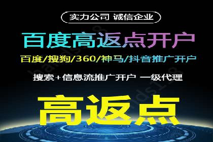 案例分享：百度推广助力企业实现多元化发展